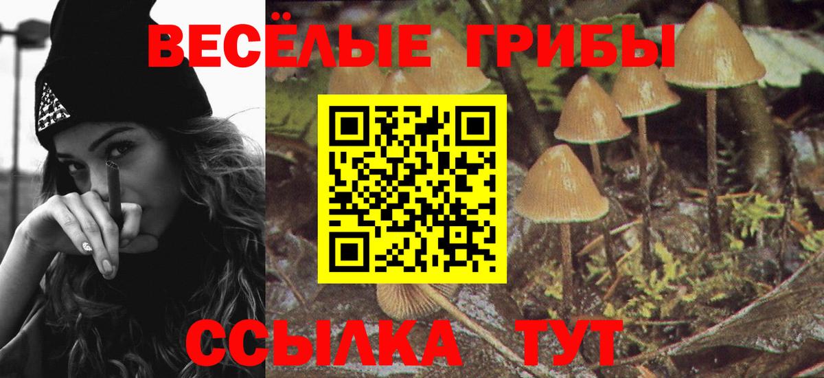Дзержинский  Галлюциногенные грибы мухоморы  Вход с VPN 