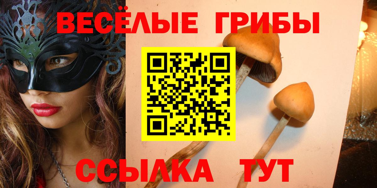 Псилоцибиновые грибы Psilocybe Дзержинский